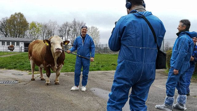 Videodreh auf einem Bauernhof