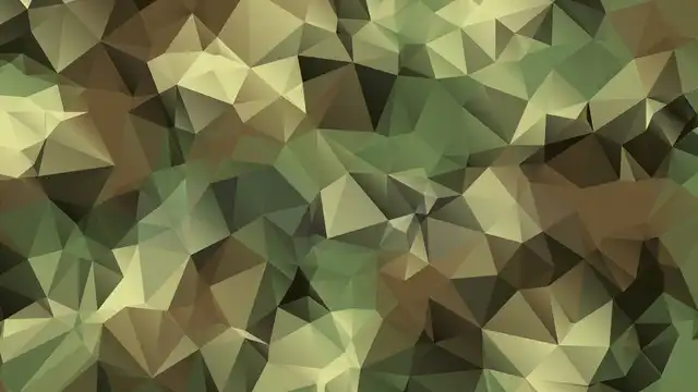 Hintergrundgrafik: Flecktarnmuster 