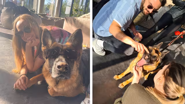 Mitarbeiter von Castenow mit dem Hund einer Kollegin.