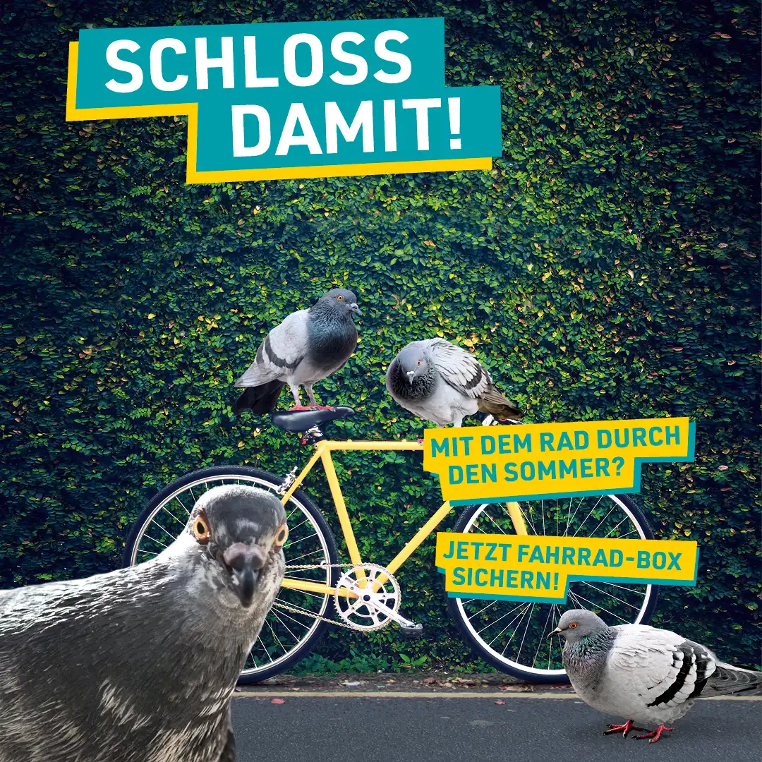 Mehrere Tauben sind mit einem Fahrrad abgebildet, eine schaut direkt in die Kamera.
