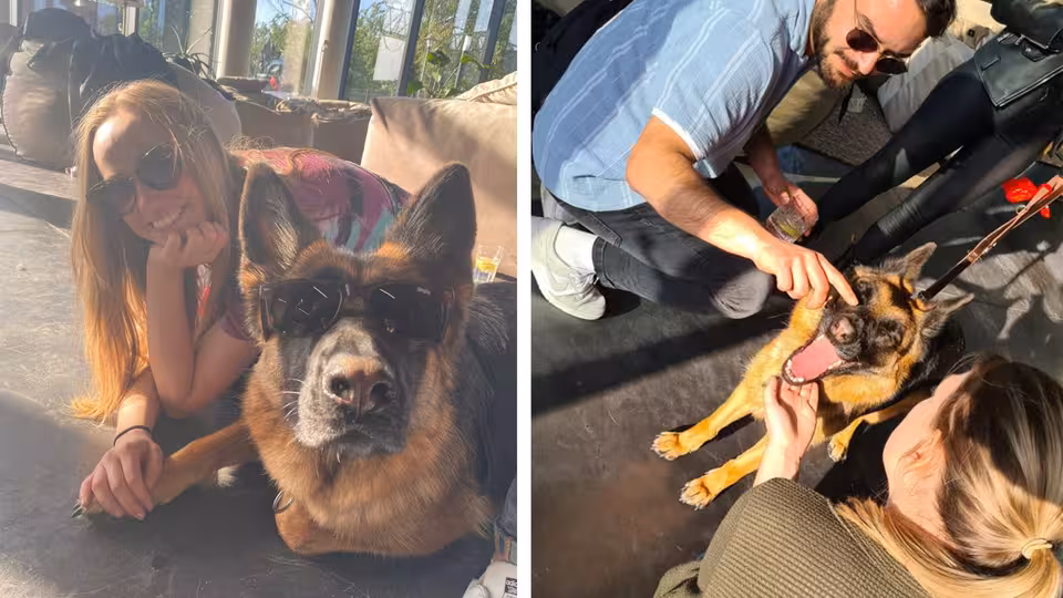 Mitarbeiter von Castenow mit dem Hund einer Kollegin.