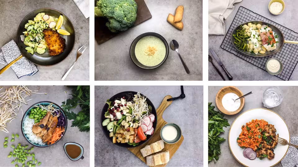 Eine Auswahl an Gerichten, die der Caterer Mealmates im Angebot hat.