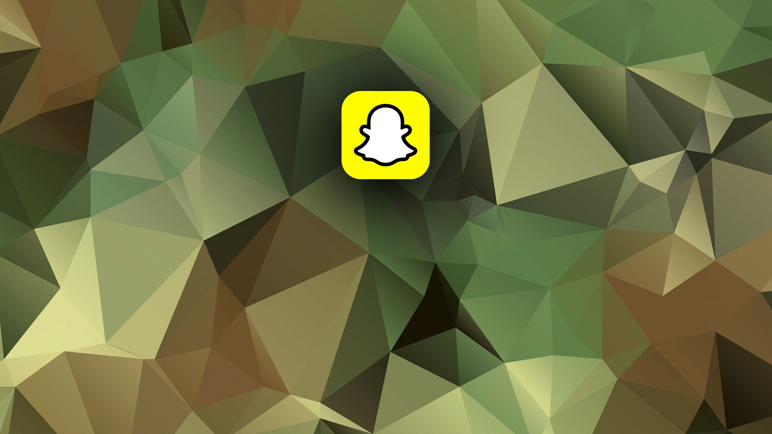 Das Snap-Chat-Logo vor grünem Polygon-Hintergrund