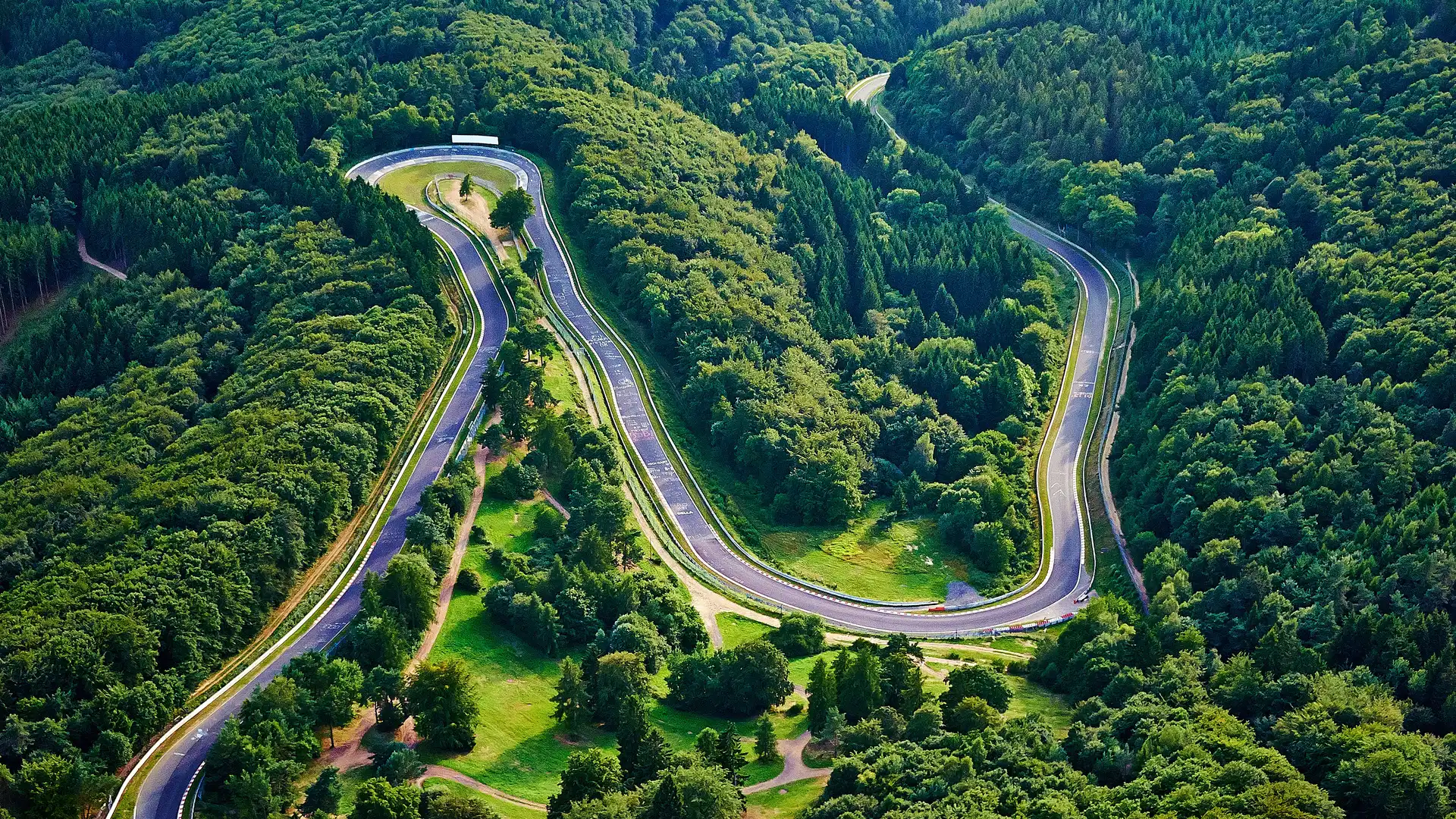 Kurvige Landstraße durch grünen Wald.
