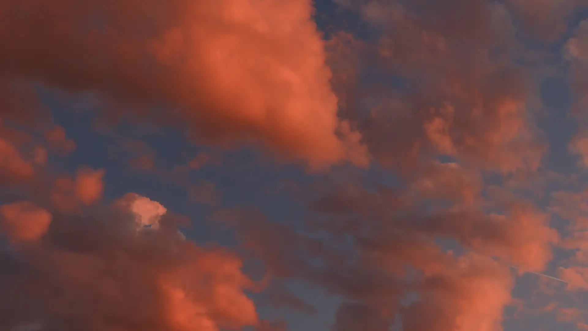 Rosa Himmel