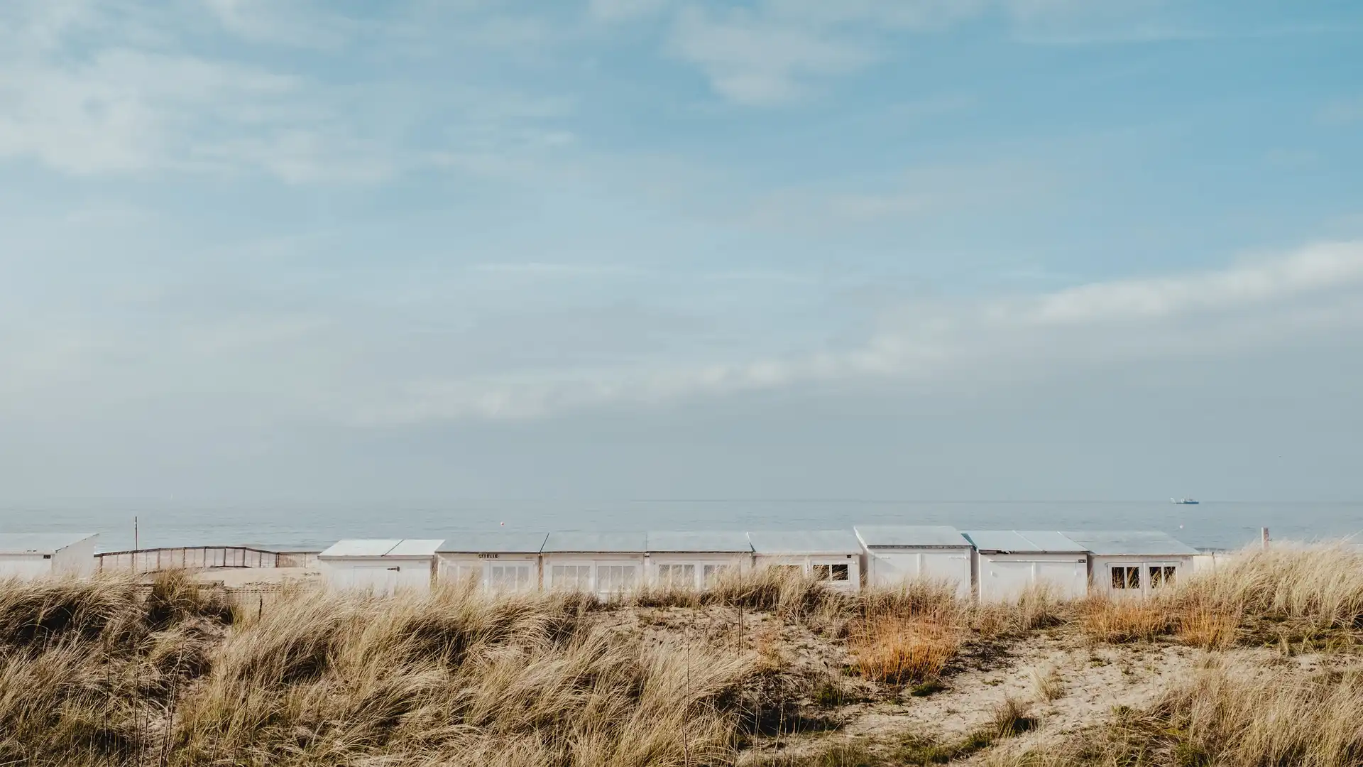 Ein Strandbild, das Marie Sophie Schlechtriem, Mitarbeiter der Castenow GmbH, der Employer Branding Agentur ausgewählt hat.