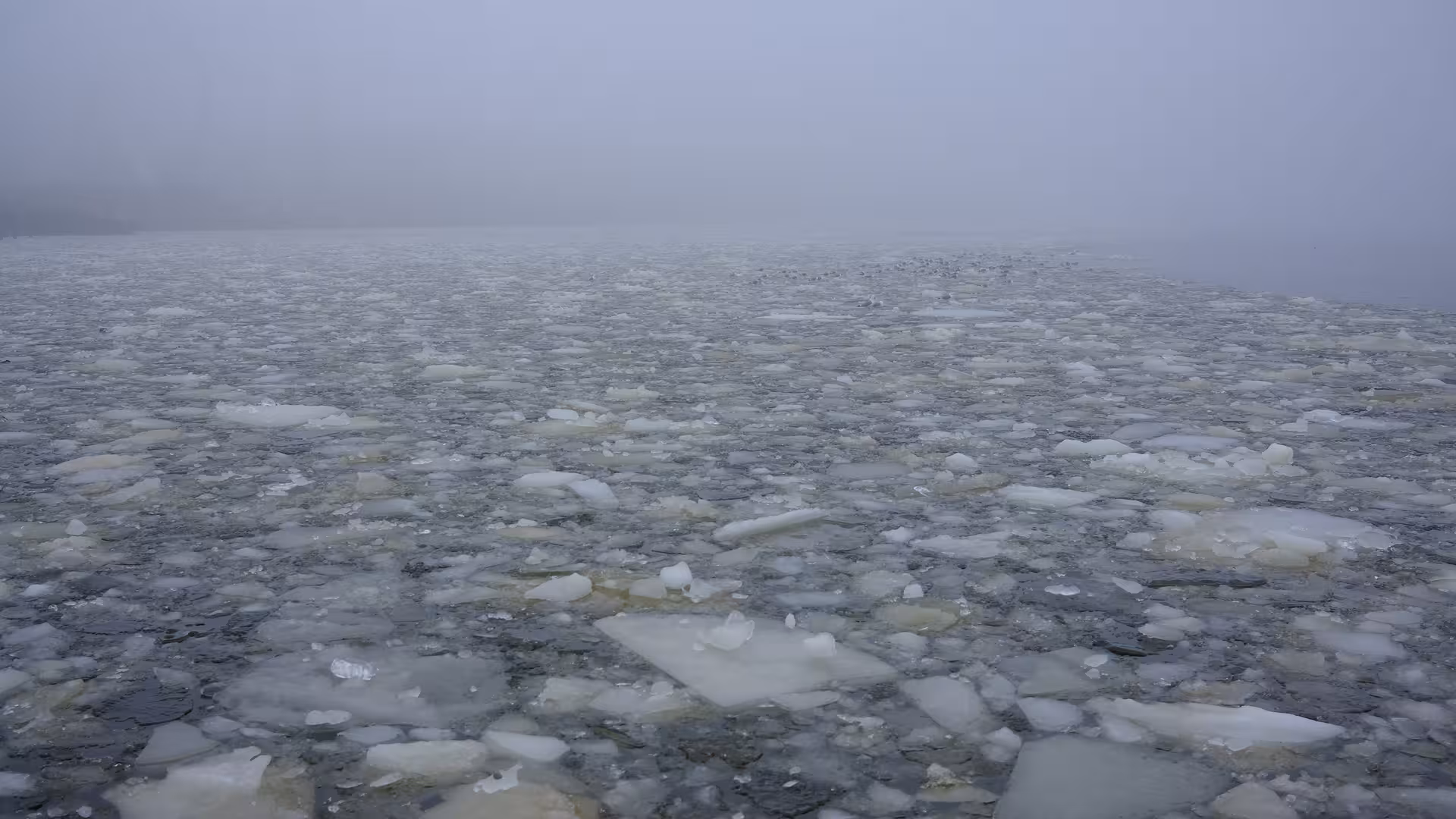 Ein Gewässer, auf dem Eisschollen schwimmen.