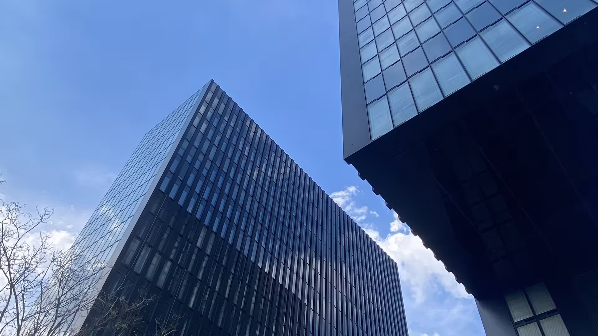 Hintergrundbild von Semi Gülmez, Mitarbeiter der CASTENOW GmbH