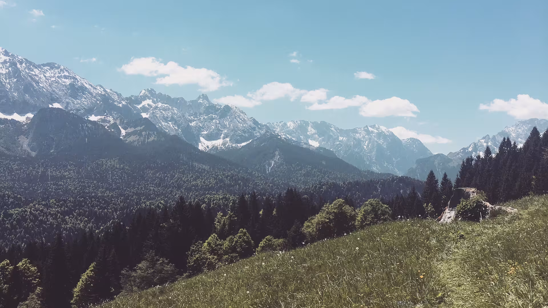 Ein Trampelpfad über eine grüne Bergwiese. Im Hintergrund sind Tannen und Berge unter blauem Himmel mit Wolken zu sehen.