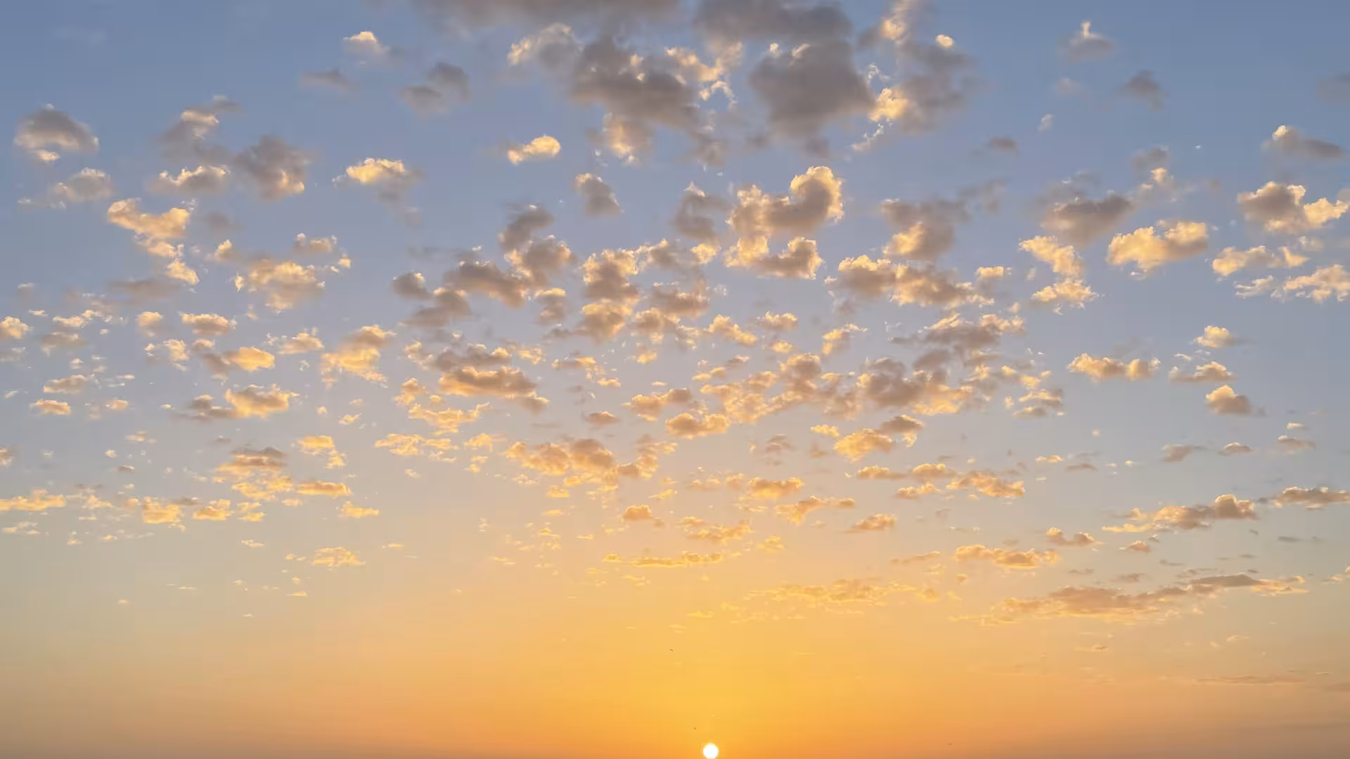 Ein Sonnengang über dem Meer mit Strand und Palmen, die noch zu sehen sind.