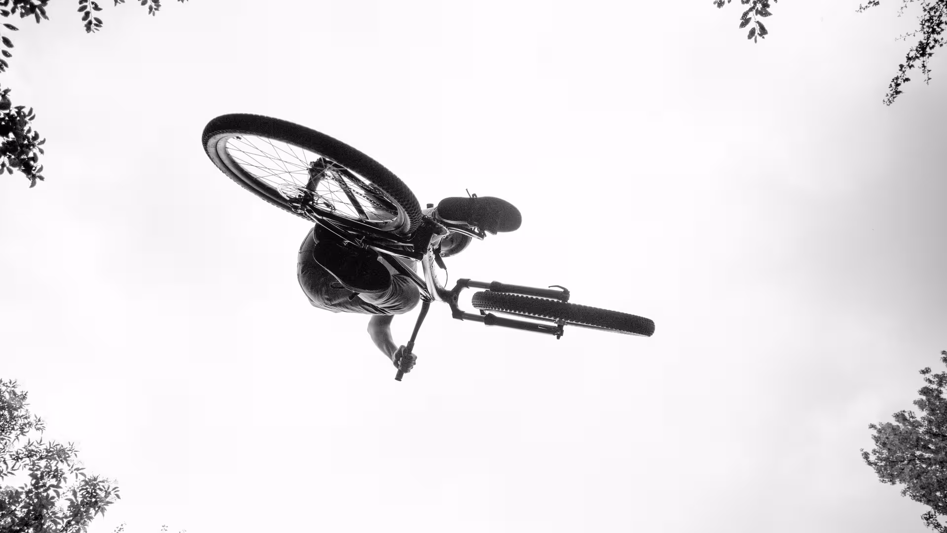 Ein springender Fahrradfahrer, der von unten gegen den Himmel fotografiert wird.